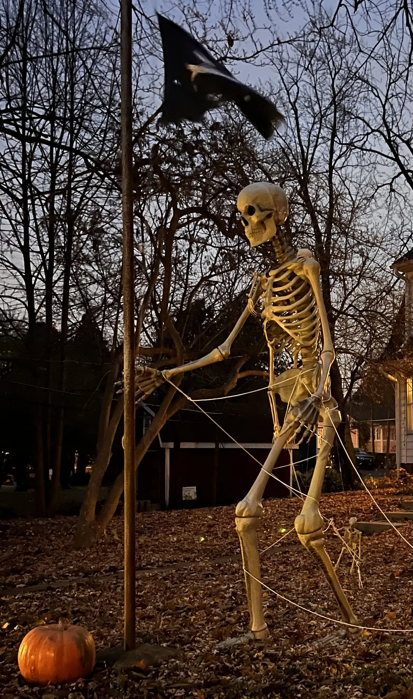 Photo of a giant 12-ft tall lawn skeleton decoration dressed as a pirate, holding a large flagpole flying the Jolly Roger. Smaller skeletons positioned around him appear to pull at strings tied to his arms, guiding him like a marionette to some nefarious end.